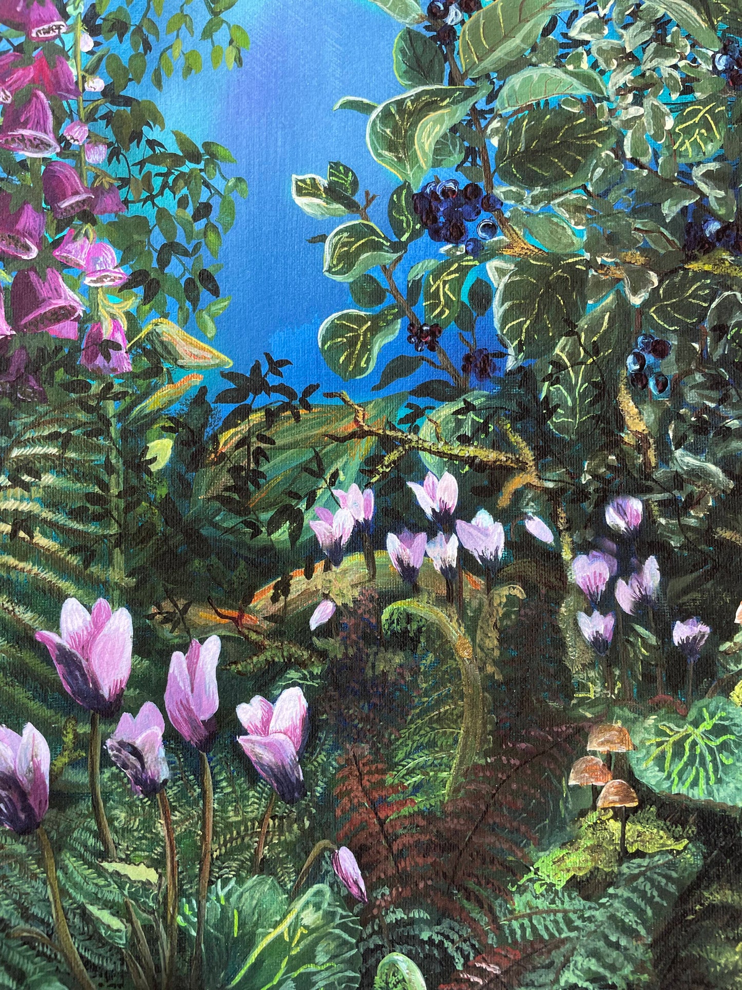 Cyclamen and Foxglove