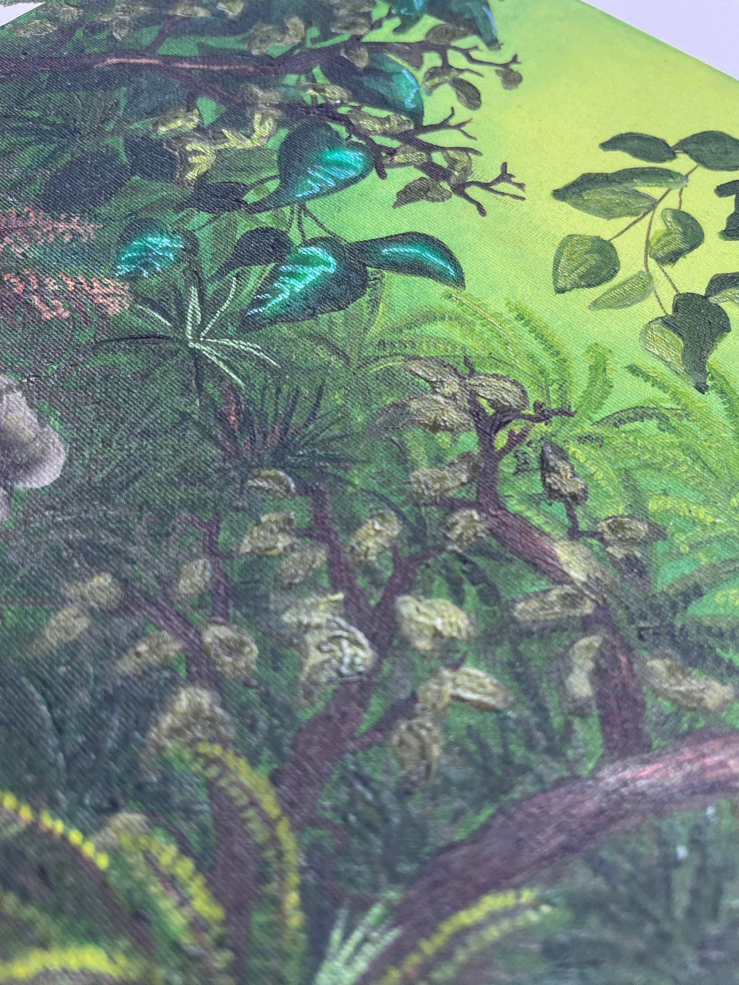 Where the ferns thrive