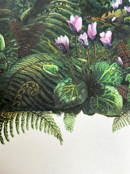 Cyclamen and Foxglove