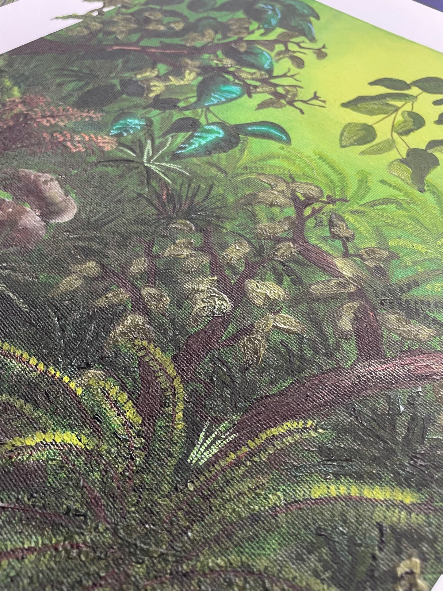 Where the ferns thrive