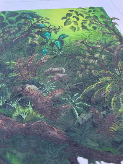 Where the ferns thrive