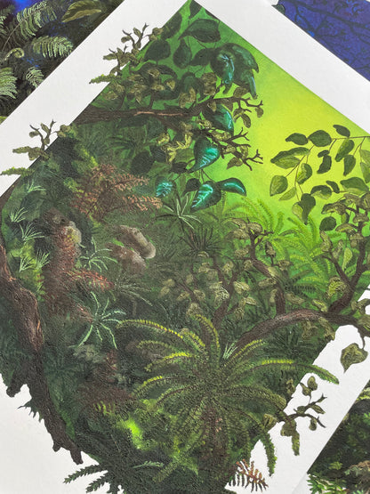 Where the ferns thrive